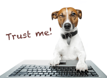 Jack Russell terrier on a laptop saying trust me