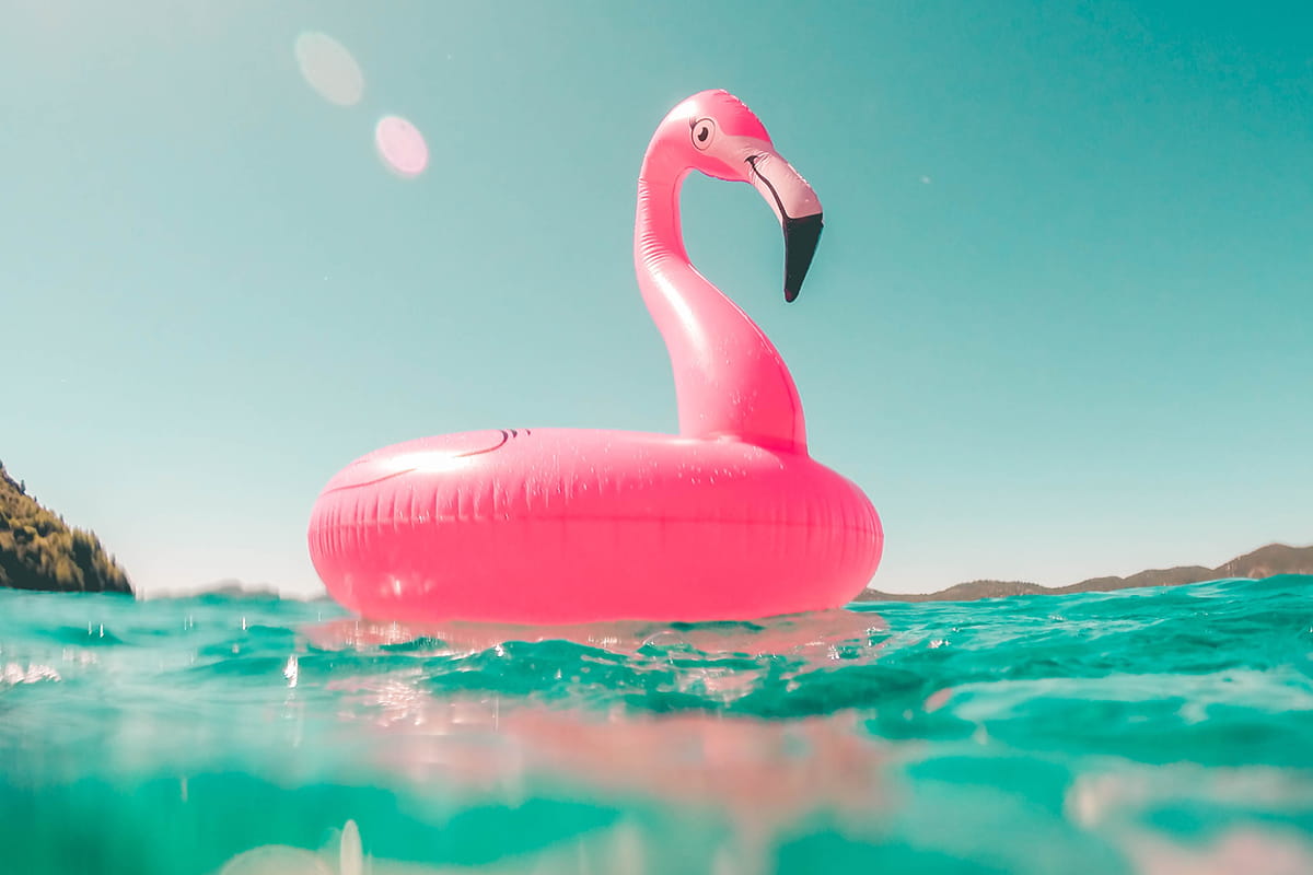 8 Things To Do Over The Summer If You re Staying Home